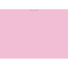 Load image into Gallery viewer, VEHICLE DEAL ENVELOPES (DEAL JACKETS) - PLAIN - Box of 500
