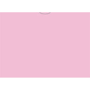 VEHICLE DEAL ENVELOPES (DEAL JACKETS) - PLAIN - Box of 500