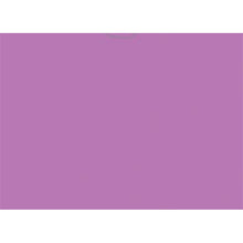 Load image into Gallery viewer, VEHICLE DEAL ENVELOPES (DEAL JACKETS) - PLAIN - Box of 500
