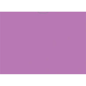 VEHICLE DEAL ENVELOPES (DEAL JACKETS) - PLAIN - Box of 500