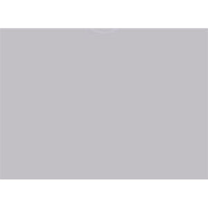 VEHICLE DEAL ENVELOPES (DEAL JACKETS) - PLAIN - Box of 500