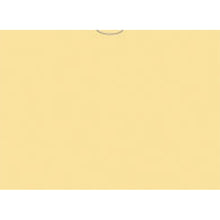 Load image into Gallery viewer, VEHICLE DEAL ENVELOPES (DEAL JACKETS) - PLAIN - Box of 500

