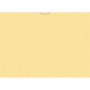 VEHICLE DEAL ENVELOPES (DEAL JACKETS) - PLAIN - Box of 500