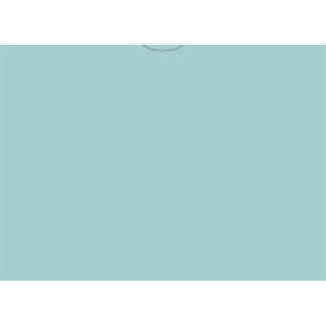 VEHICLE DEAL ENVELOPES (DEAL JACKETS) - PLAIN - Box of 500